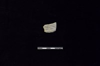 藏品(陶片)的圖片